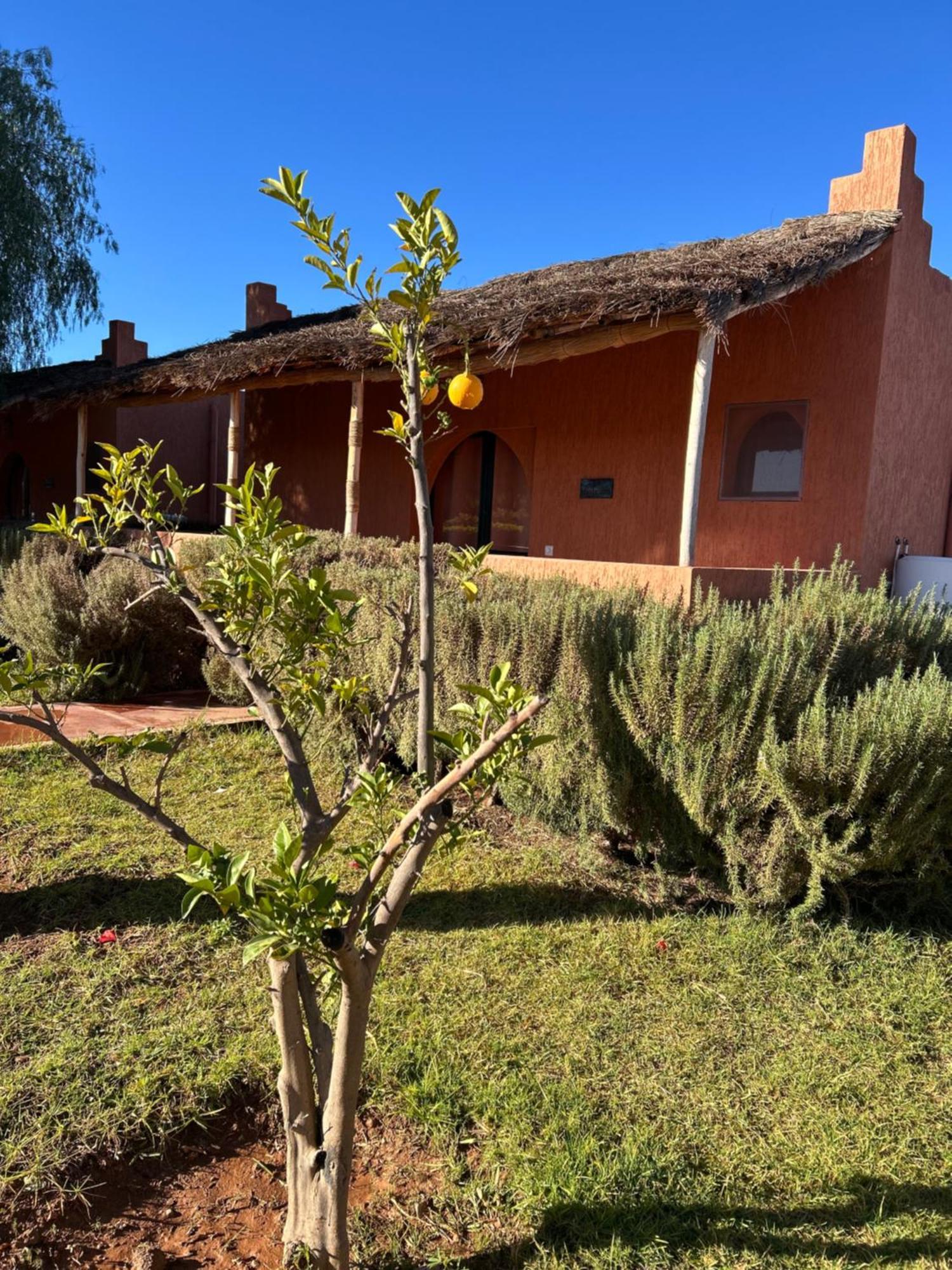 Hotel Les Orangers De L'Ourika Douar Akkara Esterno foto