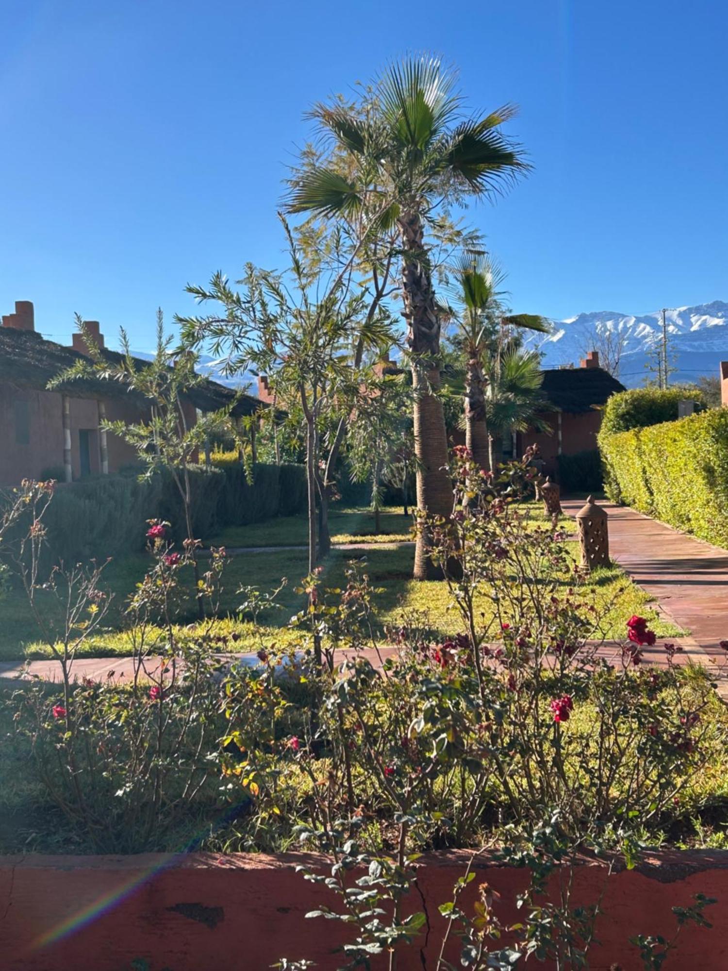 Hotel Les Orangers De L'Ourika Douar Akkara Esterno foto